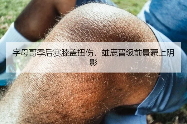 字母哥季后赛膝盖扭伤，雄鹿晋级前景蒙上阴影